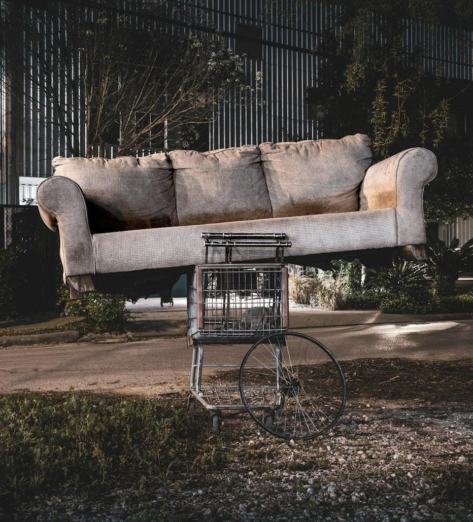 Laughter and Life Lessons Found in Everyday The Quirky moments of Relatable Stories