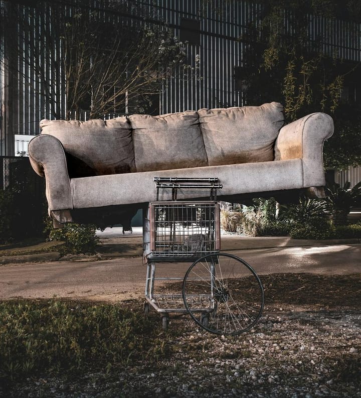 Laughter and Life Lessons Found in Everyday The Quirky moments of Relatable Stories