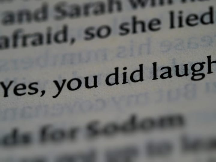 Discovering the Light Side of Daily Life Through Humor and Mishaps